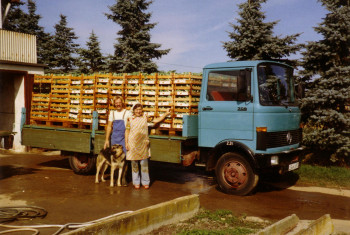 Lastwagen2